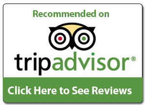 tripadvisor